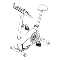 Preview: Schwinn Journey 1.0