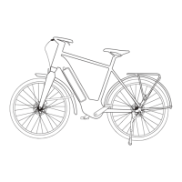 Preview: Btwin LD920E