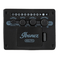 Preview: Ibanez AEQ-TP2