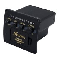 Preview: Ibanez AEQ-SP2