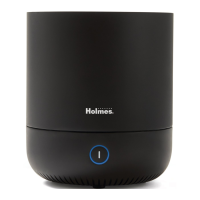 Preview: Holmes HM295TG