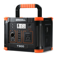 Preview: GRECELL T300