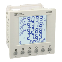 Preview: Rayleigh Instruments RI-F300