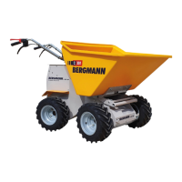 Preview: bergmann C301