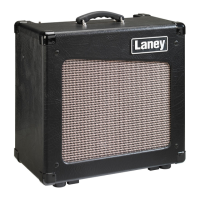Preview: Laney CUB12R