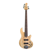 Preview: Lakland Skyline 55-01