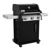 Preview: Weber E-315