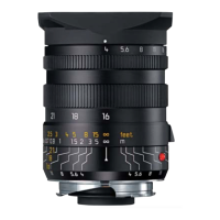 Preview: Leica M8