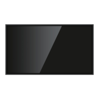 Preview: NewLine NT+ Series