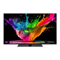 Preview: Panasonic TX-55MZ800B