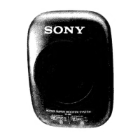 Preview: Sony XS-AW1
