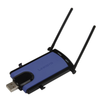 Preview: Linksys WUSB300N