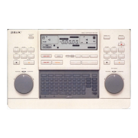 Preview: Sony RM-E300