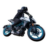 Preview: CF MOTO CF250