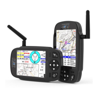 Preview: Flymaster LIVE C