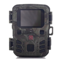 Preview: Suntek MINI-301
