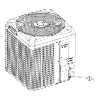 Preview: Johnson Controls YC2D Series