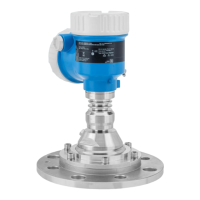 Preview: Endress+Hauser Micropilot FMR67B