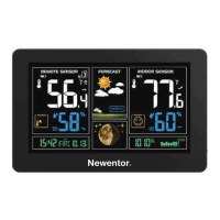Preview: Newentor NT3378