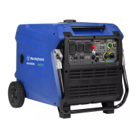 Preview: Westinghouse iGen11000DFc