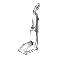 Preview: Regina Steemer Carpet Cleaner