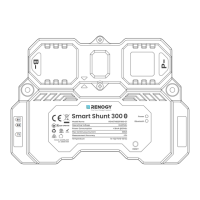 Preview: Renogy Smart Shunt 300