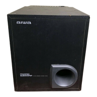 Preview: Aiwa TS-W35
