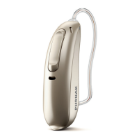 Preview: Sonova Phonak Audeo L-312