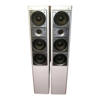 Preview: Pioneer S-H509V