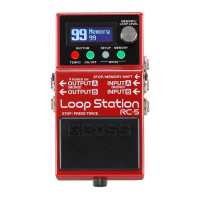 Preview: Boss RC-5