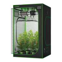 Preview: Grow Tent Standard Series