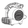 Fan Logo