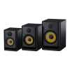 Speaker System Logo