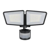 Preview: Patriot Lighting ES00992G