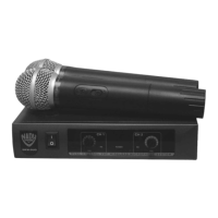 Preview: Nady Systems DKW Duo