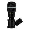 Microphone Logo