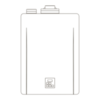 Preview: Rinnai RX199i