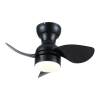 Fan Logo