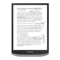 Preview: Pocketbook InkPad X Pro