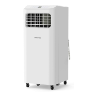 Preview: Hisense AP0621CR1W