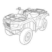 Preview: Honda FOURTRAX RANCHER 2019