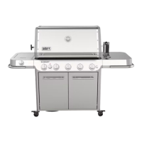 Preview: Weber SUMMIT FS38 E