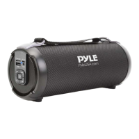 Preview: Pyle PBMSPG3BK