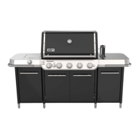 Preview: Weber SUMMIT GC38 E