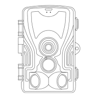 Preview: strex SP204