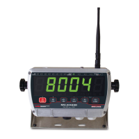 Preview: Rice Lake MSI-8004HD