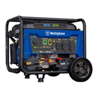 Preview: Westinghouse WGen3600DFc