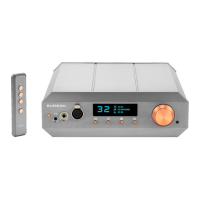 Preview: Burson Soloist Voyager V-220