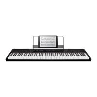 Preview: Alesis Recital