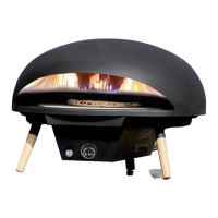 Preview: Le Feu Turtle Motion 625
